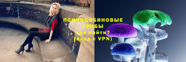 дурь Иннополис
