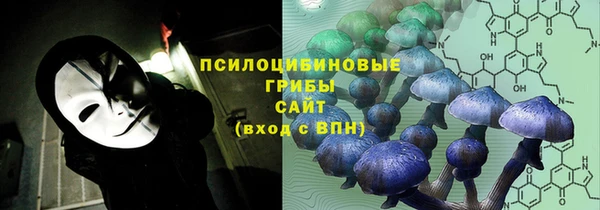 марки nbome Инта