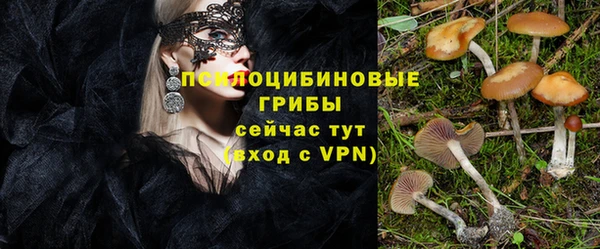 мескалин Инсар