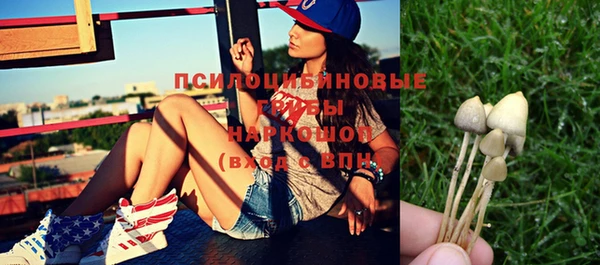 дурь Иннополис