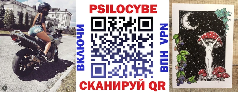 Купить где Камешково Галлюциногенные грибы MAGIC MUSHROOMS