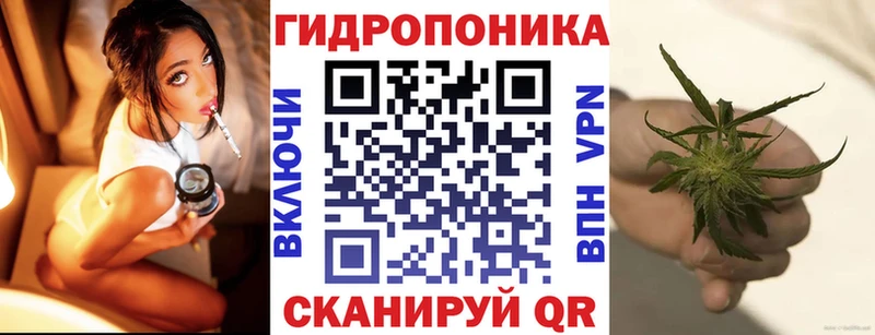 Купить закладки  Камешково  Марихуана OG Kush 